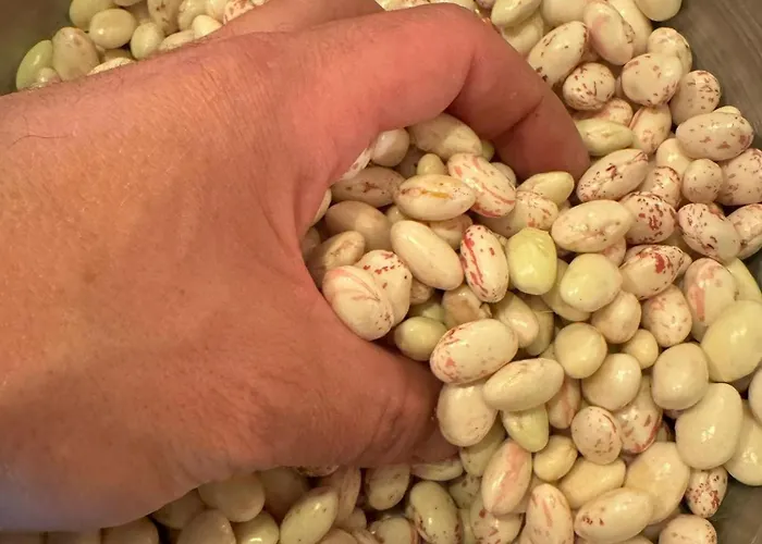 Il Grottino Relais &